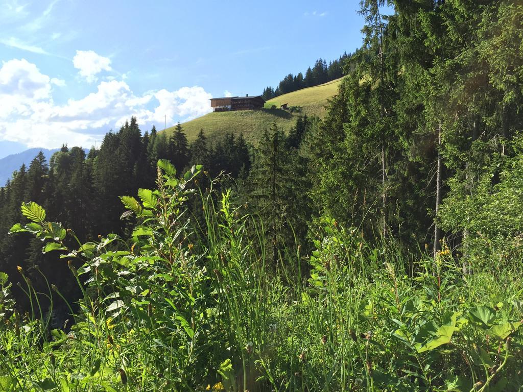 Wellnessappartements Margit Apartment *