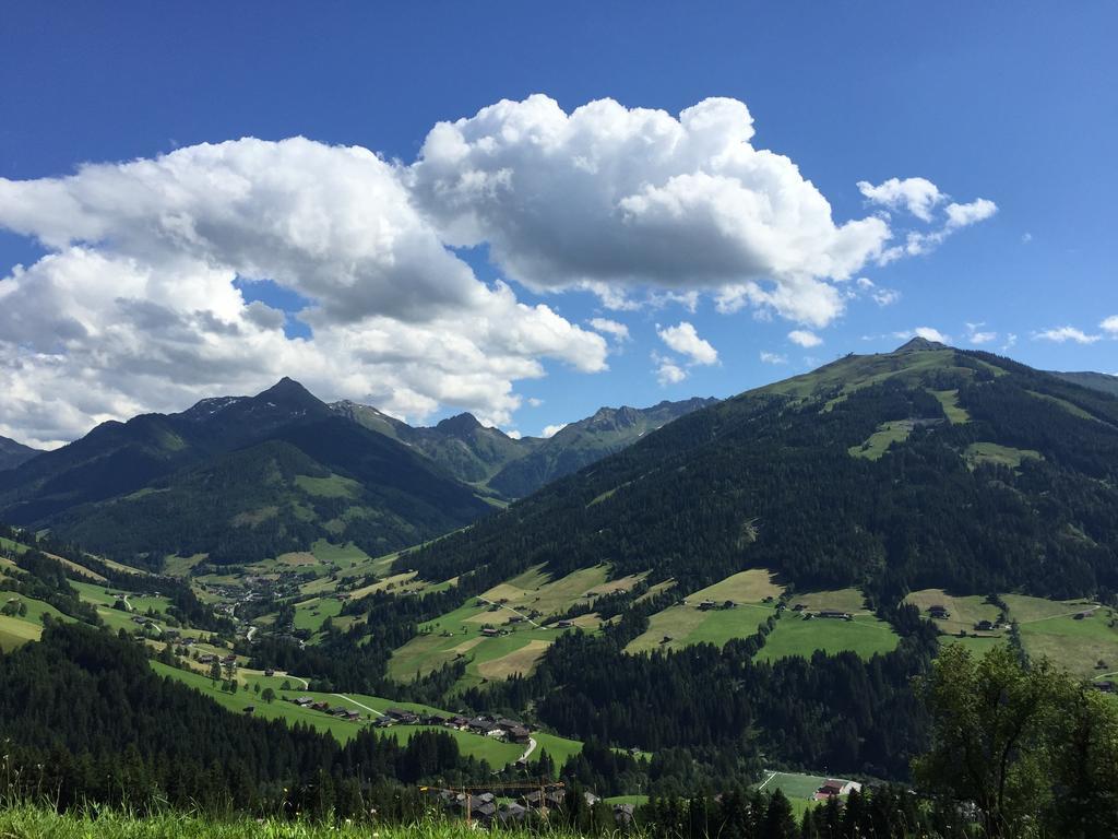 Wellnessappartements Margit Apartment Alpbach